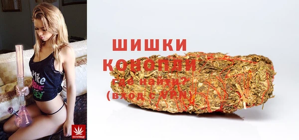 ECSTASY Богданович