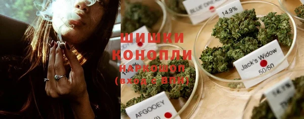 молекула духа Богородск