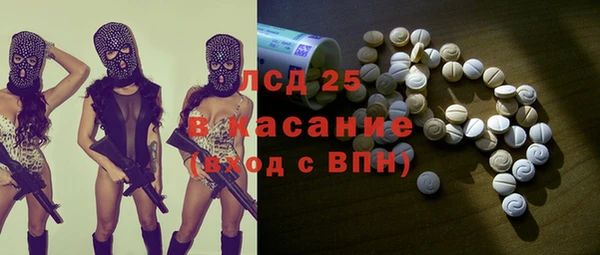 ECSTASY Богданович